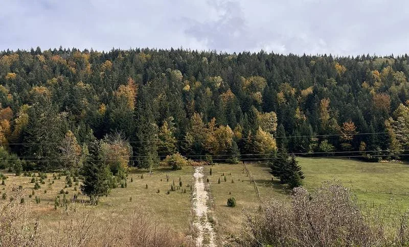 Zašto ar placa na Zlatiboru košta i 830 i 4.700 evra